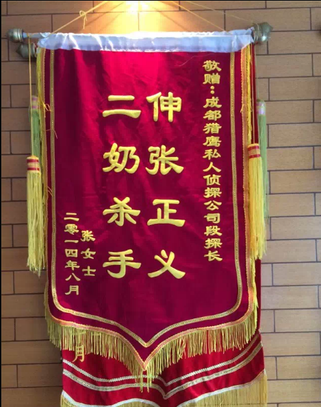 德阳纪律调查